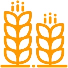 Iconographie Terrigen1