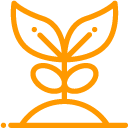 Iconographie Terrigen4